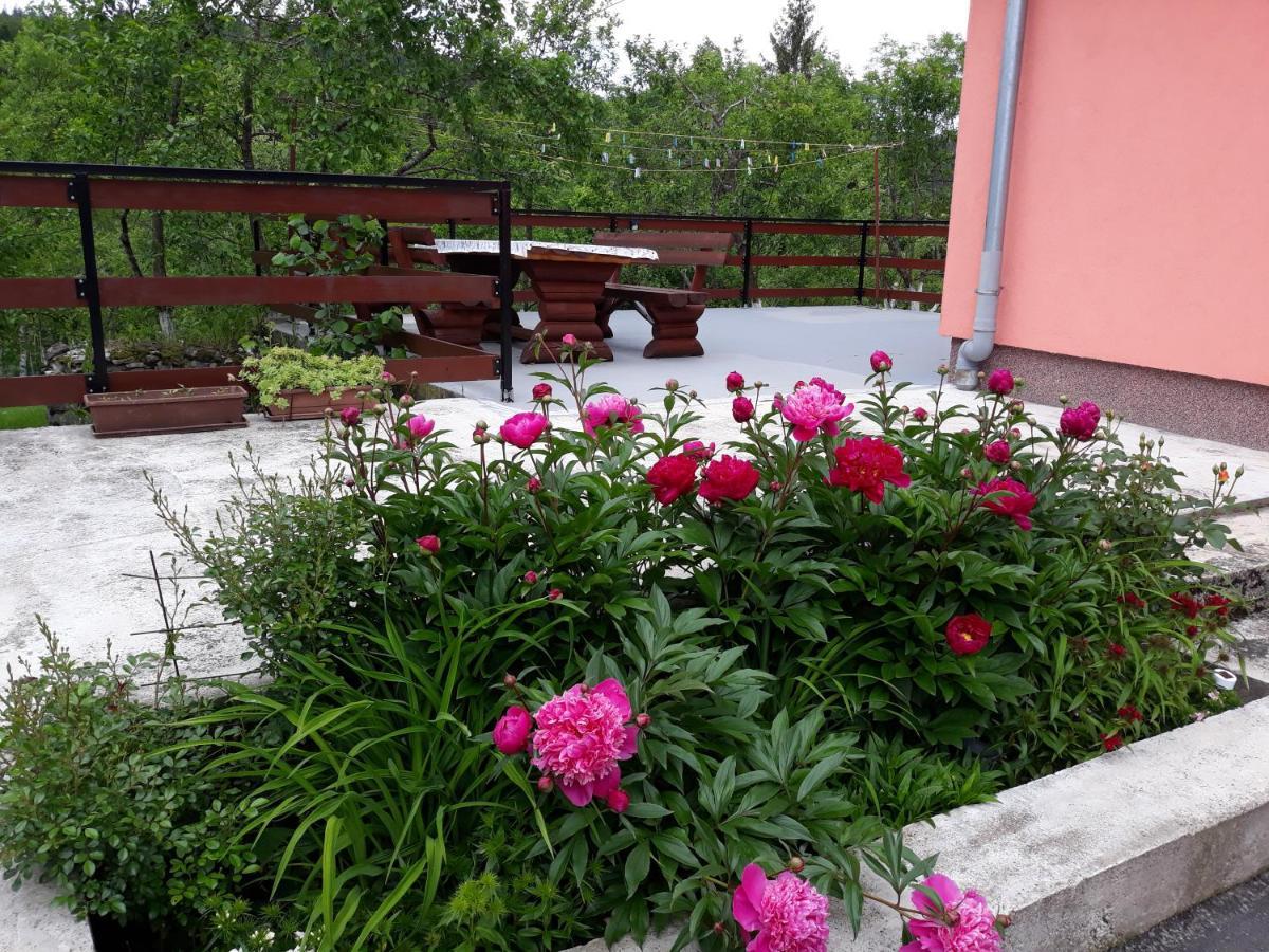 Biljevina Apartment Saborsko Bagian luar foto