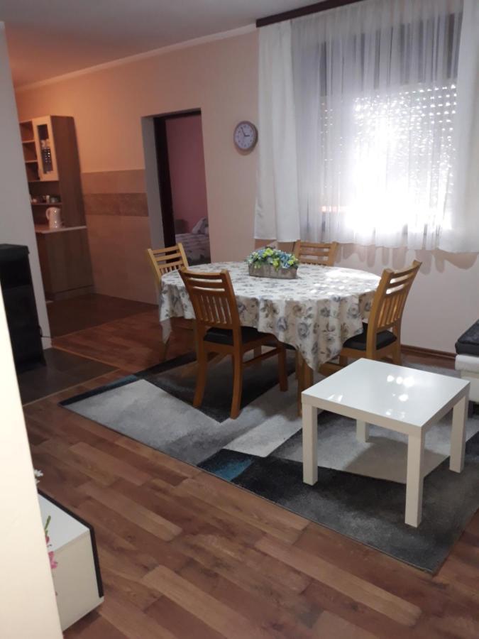 Biljevina Apartment Saborsko Bagian luar foto