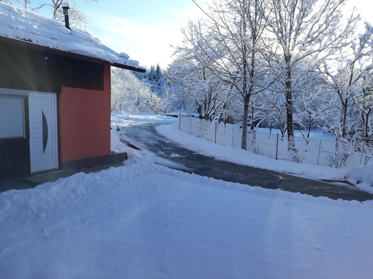 Biljevina Apartment Saborsko Bagian luar foto