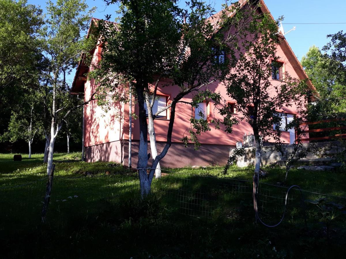 Biljevina Apartment Saborsko Bagian luar foto