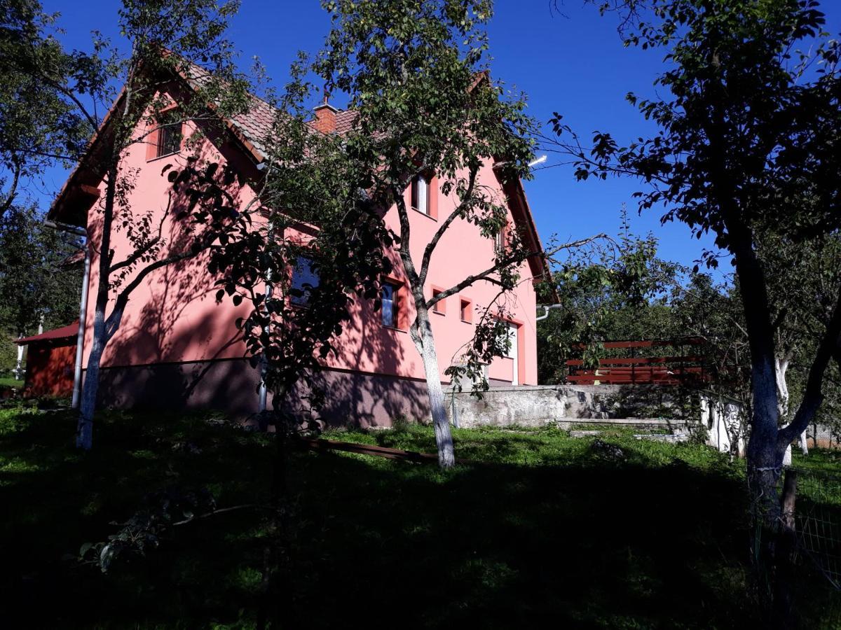 Biljevina Apartment Saborsko Bagian luar foto