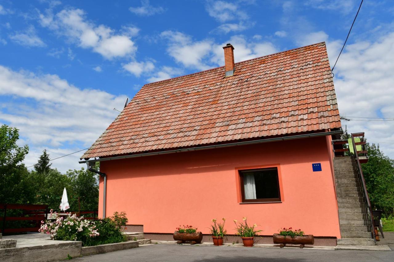 Biljevina Apartment Saborsko Bagian luar foto
