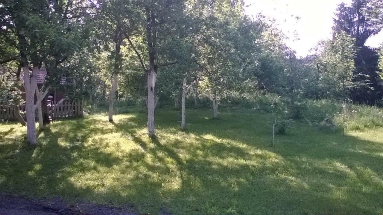 Biljevina Apartment Saborsko Bagian luar foto