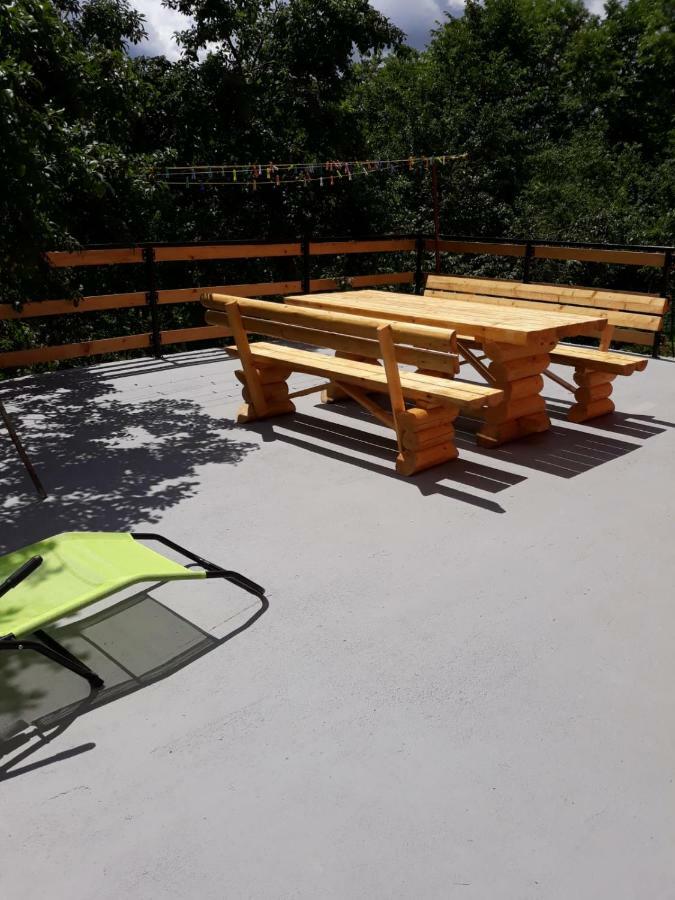 Biljevina Apartment Saborsko Bagian luar foto