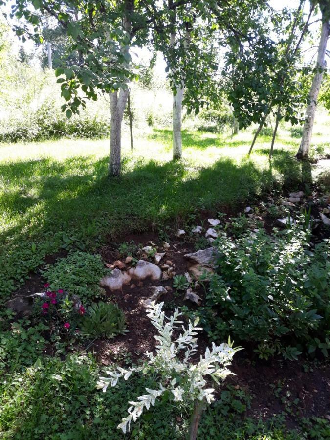 Biljevina Apartment Saborsko Bagian luar foto