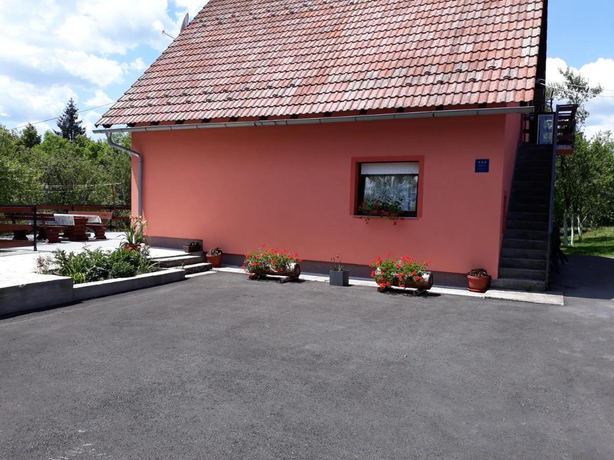 Biljevina Apartment Saborsko Bagian luar foto